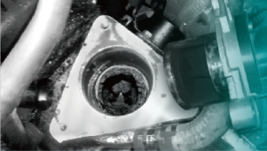 aet-00528-2.jpg